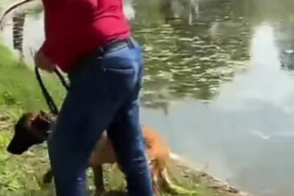 video un barbat e acuzat ca a incercat sa si inece cainele in lacul din parcul tineretului din capitala politia a deschis dosar penal 6a02a73ac6a52