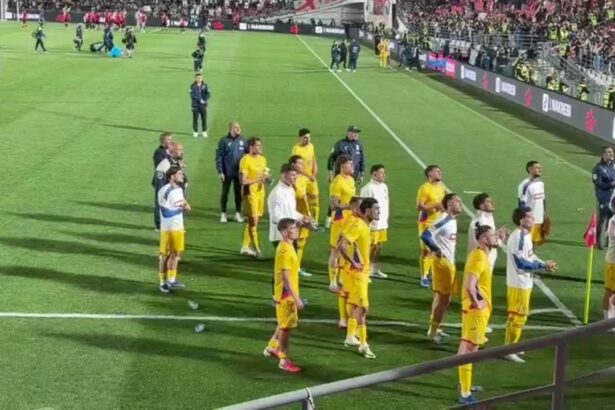 val de ironii la adresa unui tricolor dupa georgia romania i a zis lui hagi ca nu poti sa joci 6a1fd4bc20625